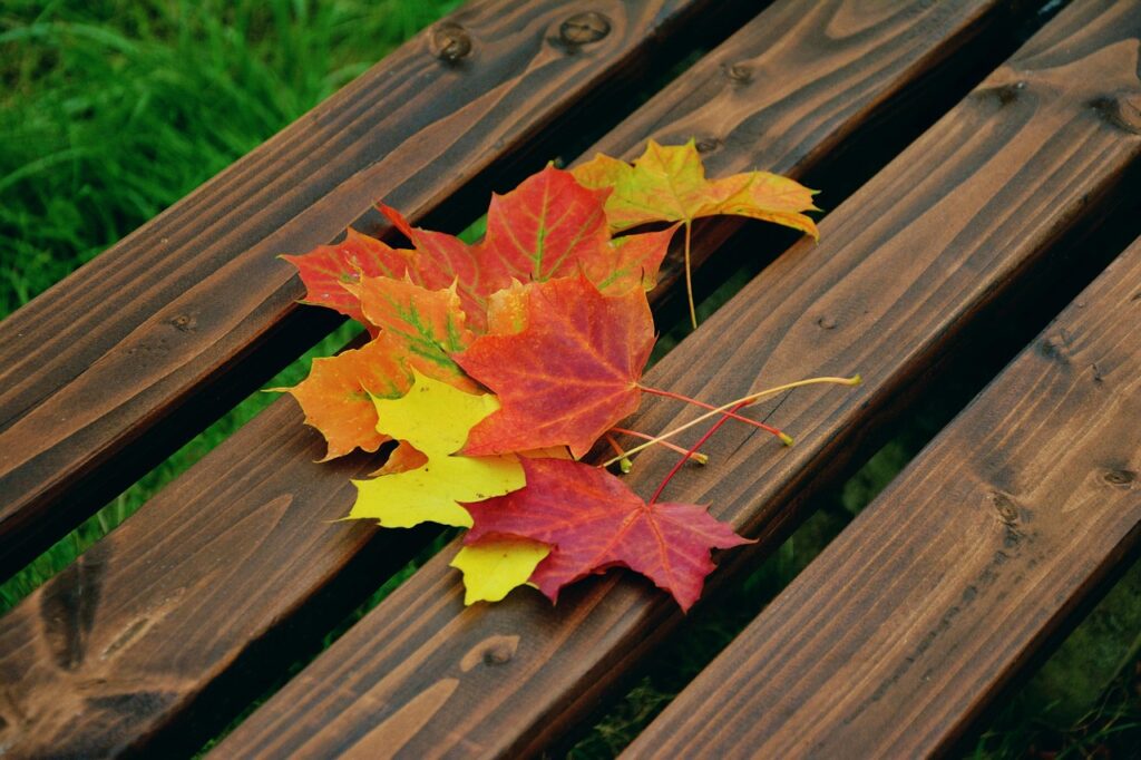 Ontario Business Trends 2025 - Demand Up For Some Lumber Species In Ontario 2