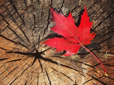 Ontario Business