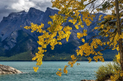 Lake States