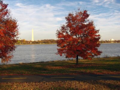 Washington