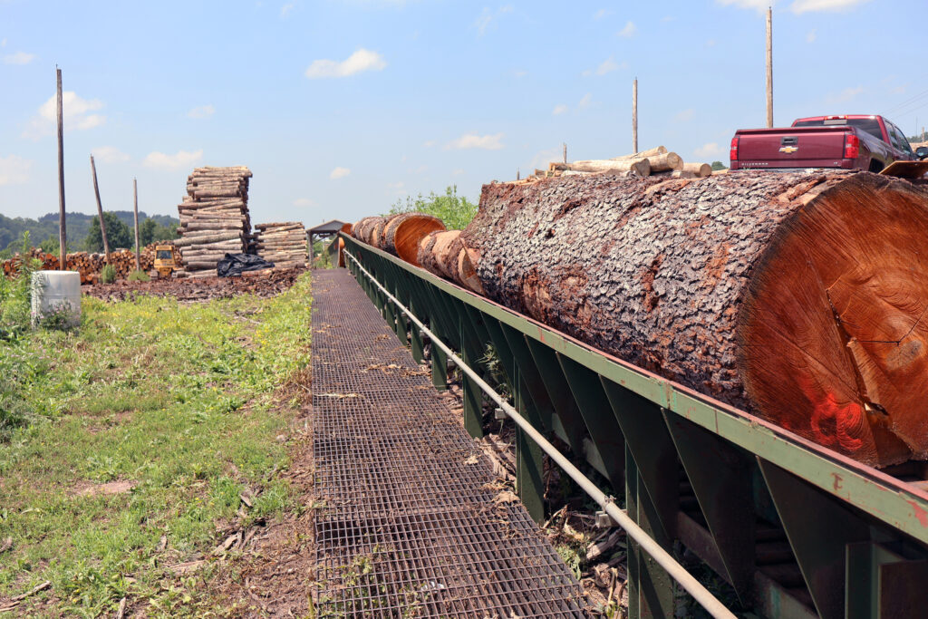 Consistency in The Grain: The Cummings Lumber Story 1