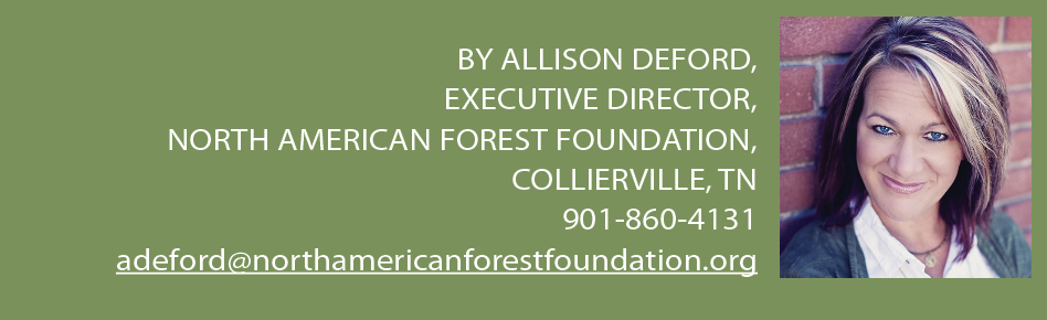 This Season’s Hottest Gift 3