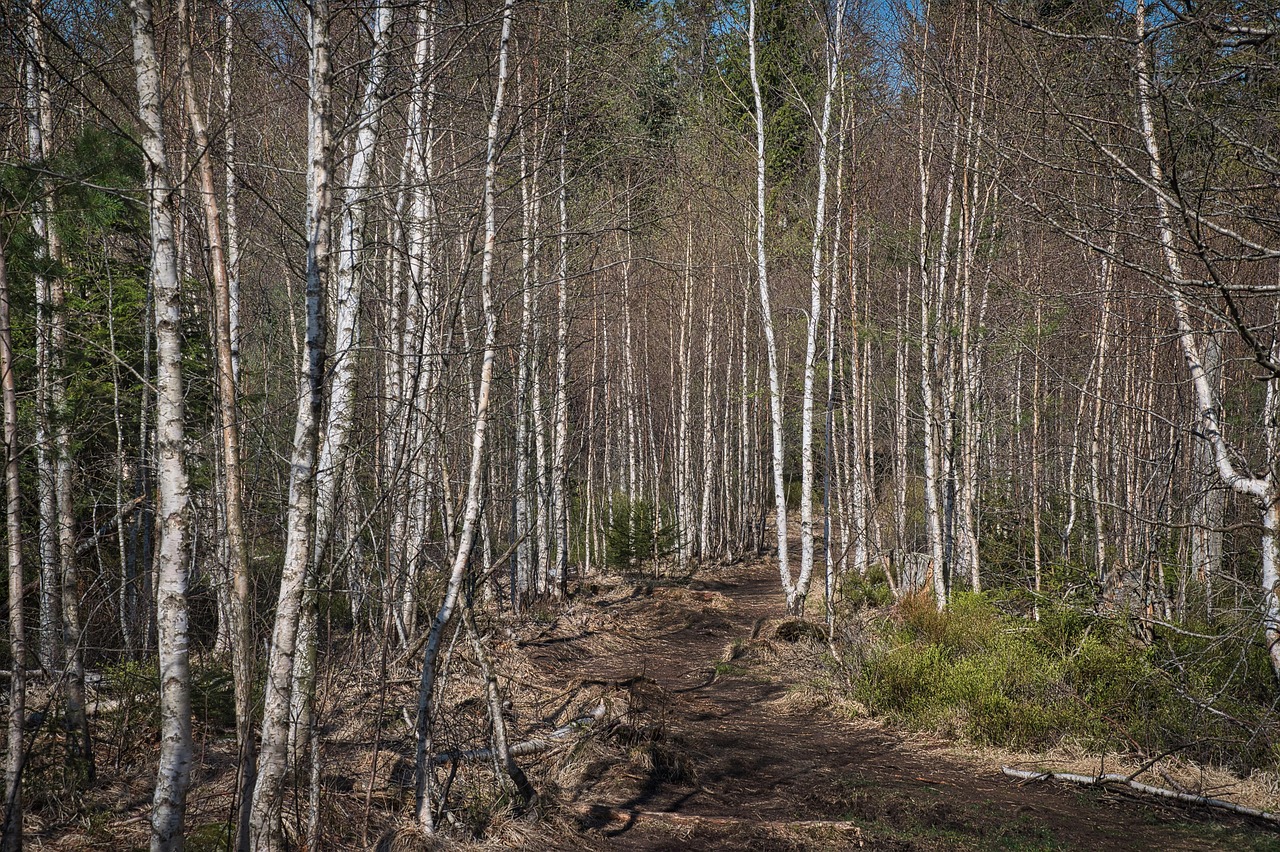 National Hardwood Magazine 41 National Hardwood Magazine 8