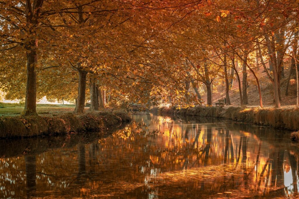 West Coast Business Trends 2025 - Despite Current Sluggish Conditions, The West Coast Cautiously Hope For Uptick In Demand 1 West Coast Business Trends 2025 - Despite Current Sluggish Conditions, The West Coast Cautiously Hope For Uptick In Demand 1