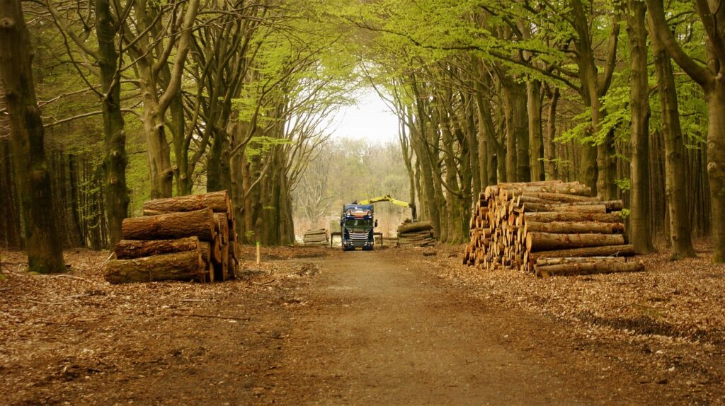 Mitigating Risk For The Hardwood Lumber Fleet Operators–And Their Drivers 4 Mitigating Risk