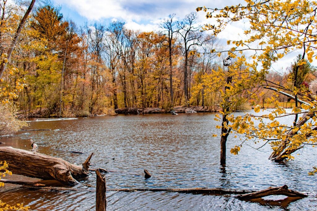 Northeast Business Trends 2025 - Abnormally Lower Market Activity Experiences In Autumn 3 Abnormally