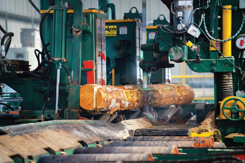 Patrick Lumber Company: Preparing For Growth Over The Next Century And Beyond 3