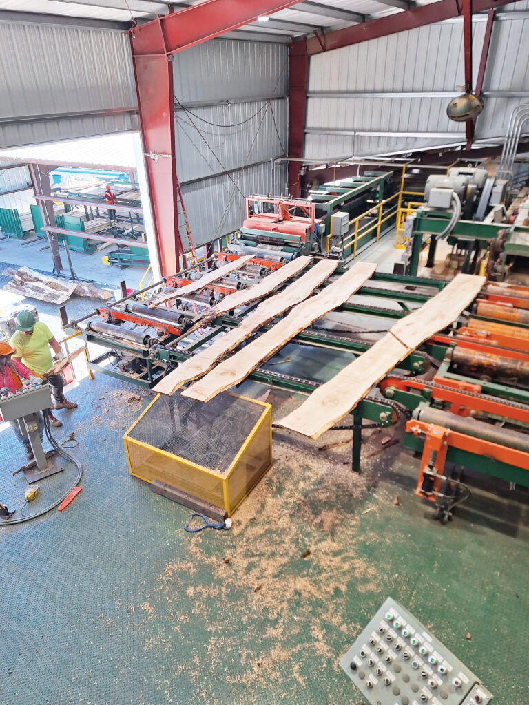 Patrick Lumber Company: Preparing For Growth Over The Next Century And Beyond 9