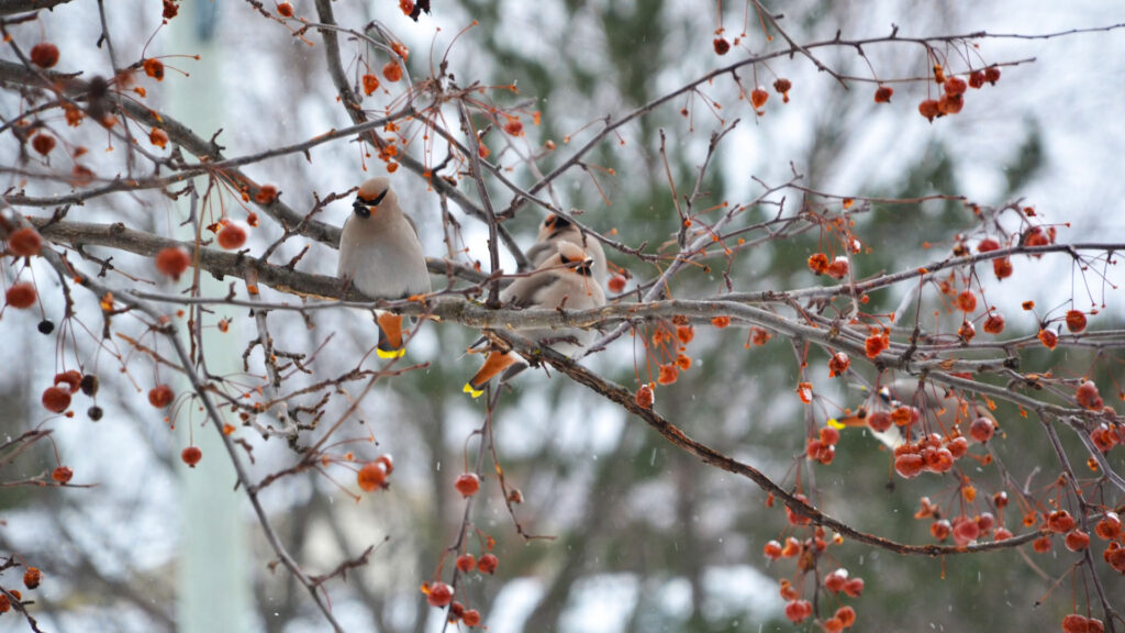 Ontario Business Trends 1