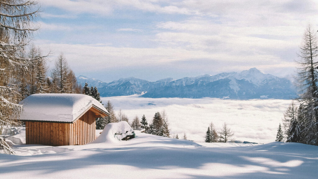 Business Trends Abroad 1