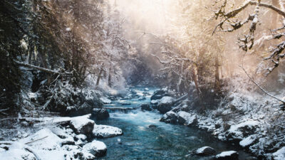 Industry News 19 Industry News 10