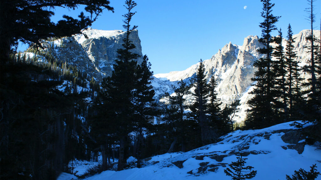 West Coast Business Trends 1 West Coast Business Trends 1