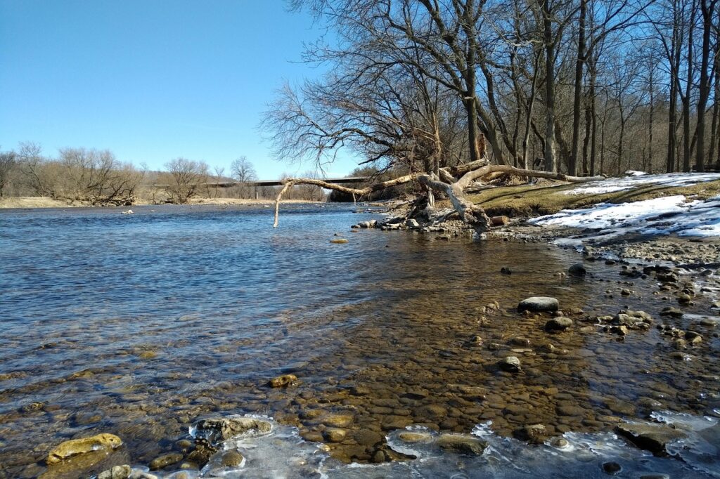 Ontario Business Trends January 2026 - Strengthening The Forestry Sector And Budgeting For The New Year 2