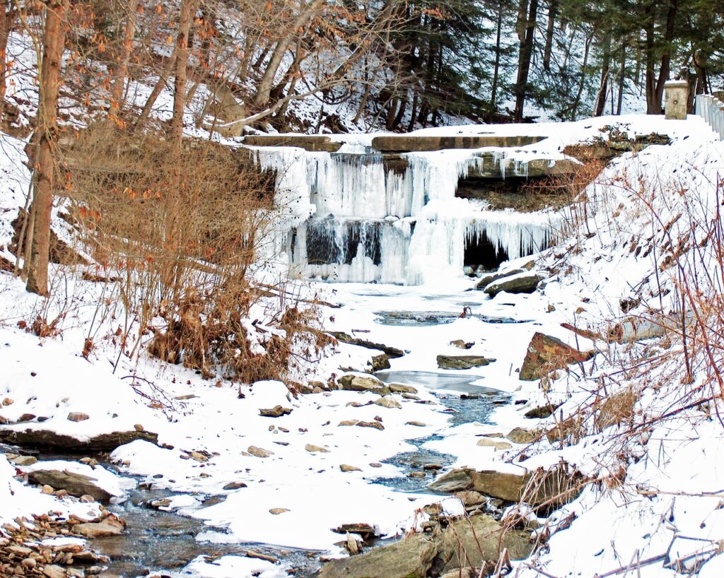 Southeast Business Trends January 2026 - A Southeast Softened By Caution 1 Southeast Business Trends January 2026 - A Southeast Softened By Caution 1