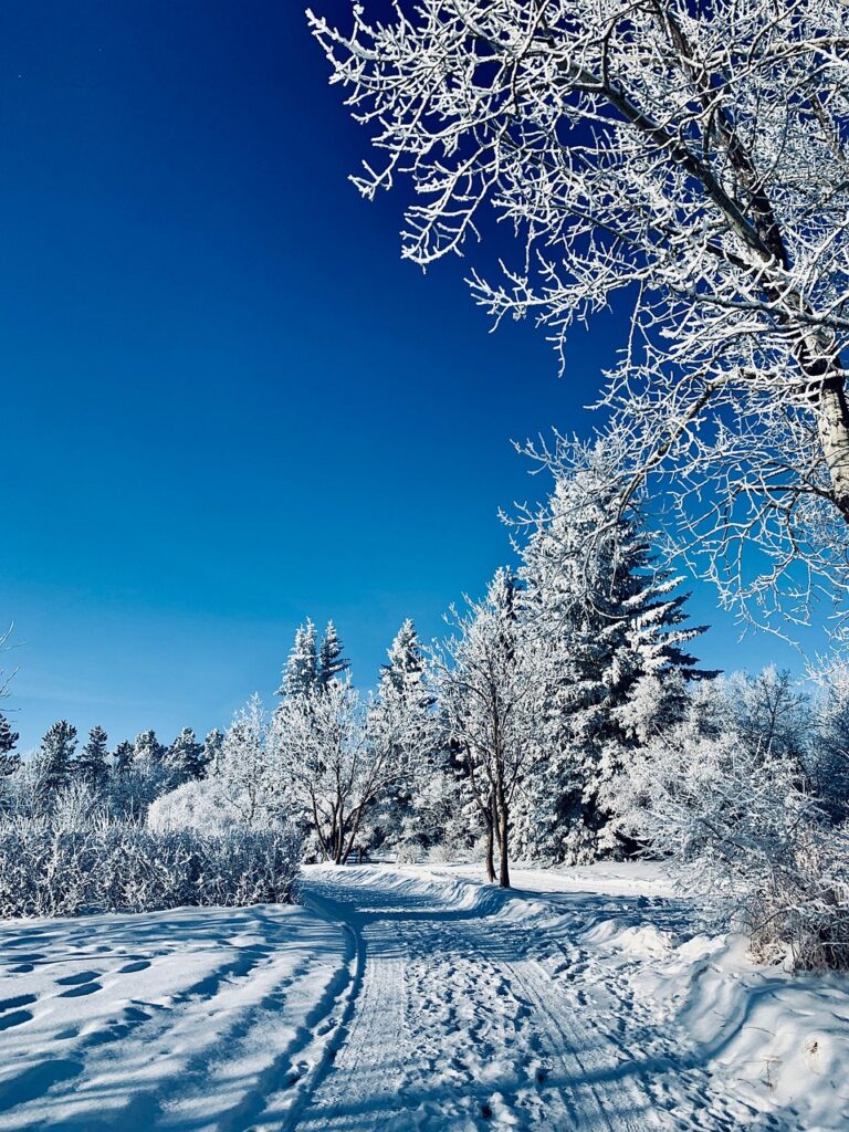 Quebec Business Trends January 2026 - Post Holiday Hesitation 1 Quebec Business Trends January 2026 - Post Holiday Hesitation 1