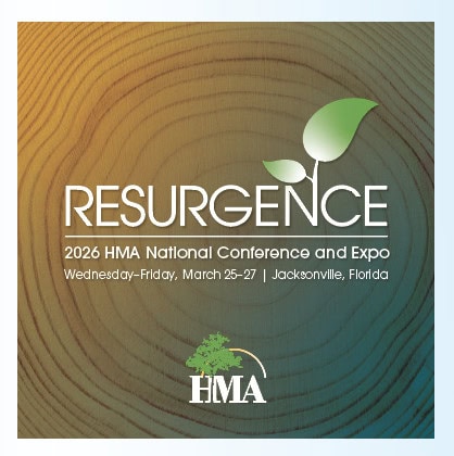 Are You Ready For the Hardwood Industry’s Resurgence? 2 Resurgence