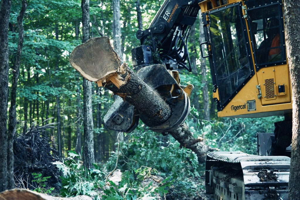 Integration, Discipline And Stewardship Drive Thompson Appalachian Hardwoods 2