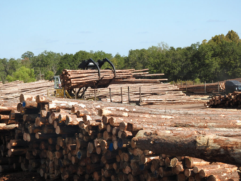 Hood Industries Inc.: Modernizing  The Industry, One Sawmill At A Time 2