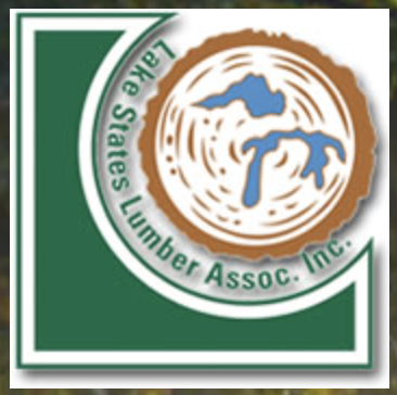 Green Bay And LSLA Team Up For Winter Event 1