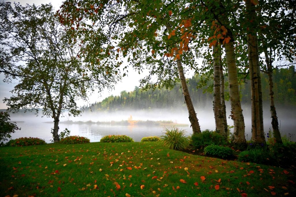 Quebec Business Trends April 2026 - Stakeholders Caution That Trade Wars With U.S. Likely Far From Over 1