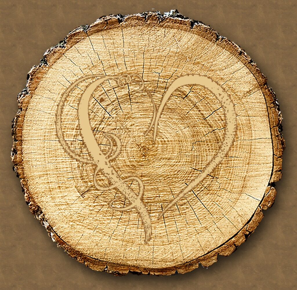 Why Knot Look At The Hardwood Industry From Different Perspectives? 1 Why Knot