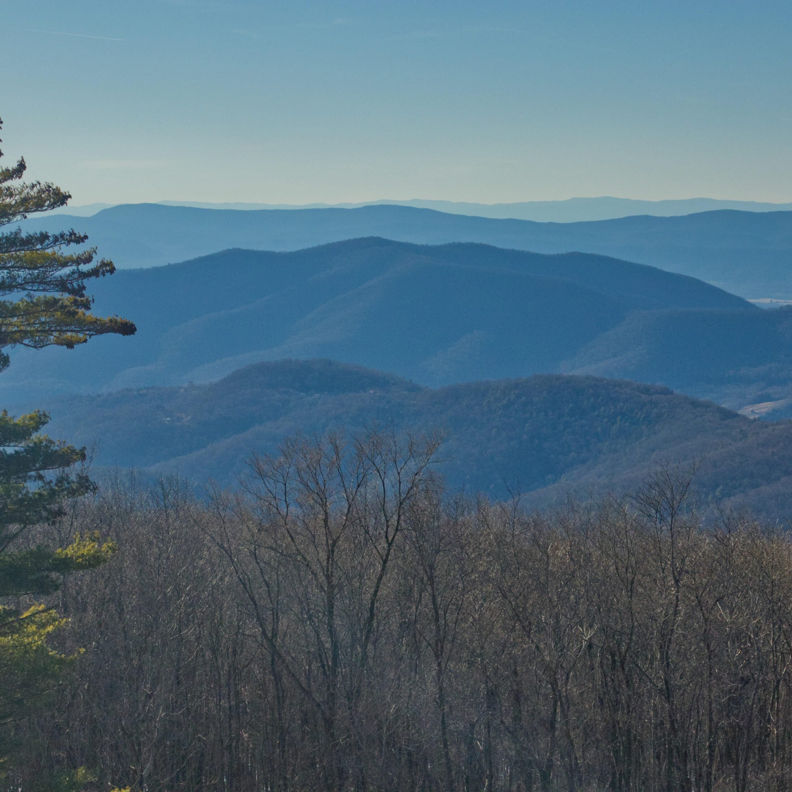 Southeast Business Trends April 2026 - Recovering From Southeastern Snowstorms And Mixed Market Reviews 1