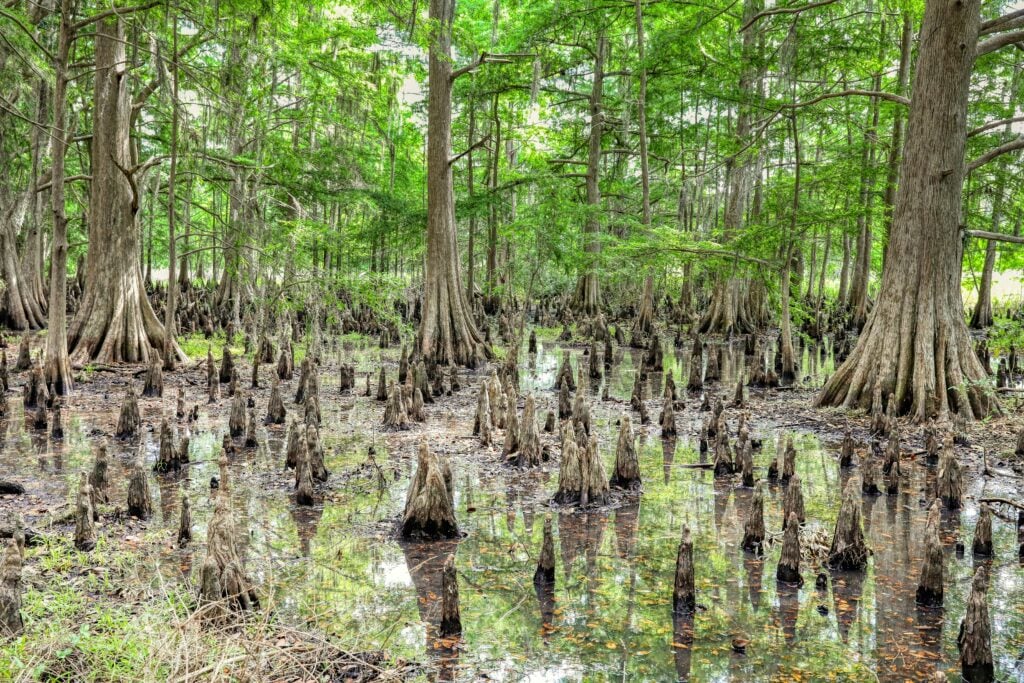 Southeastern Business Trends May 2026 - Southeastern Springtime Struggles 1