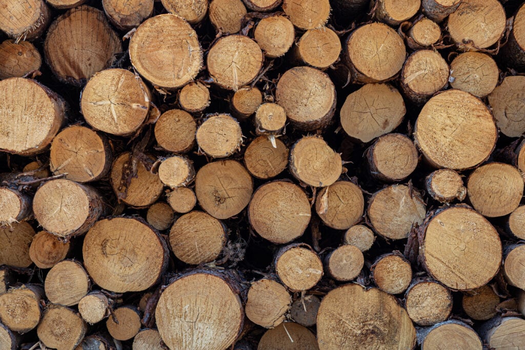 Gorman Group Focuses On Value Recovery, Consistency Across Multi-Mill System 5 Gorman Group Focuses On Value Recovery, Consistency Across Multi-Mill System 5