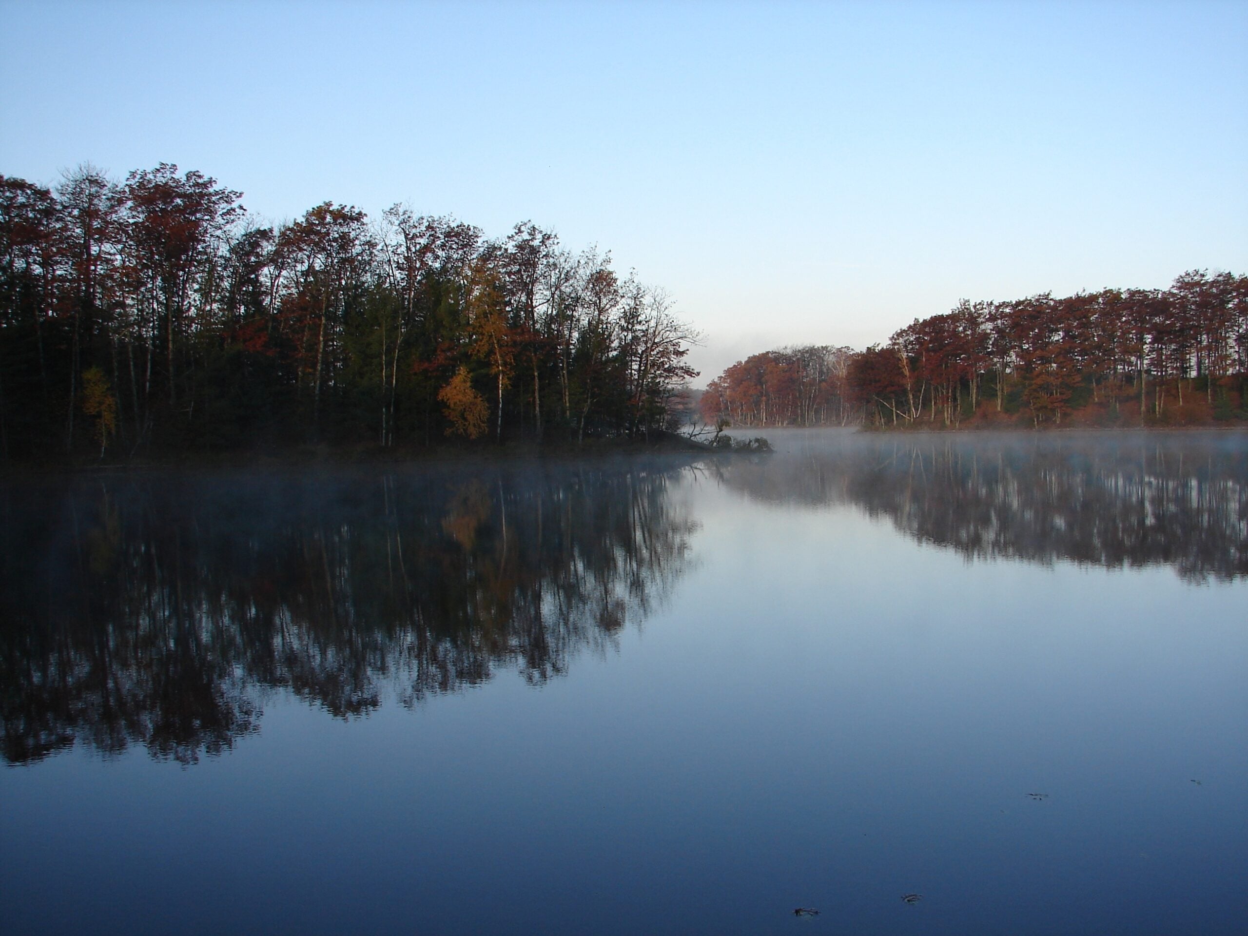 National Hardwood Magazine 35 Lake States