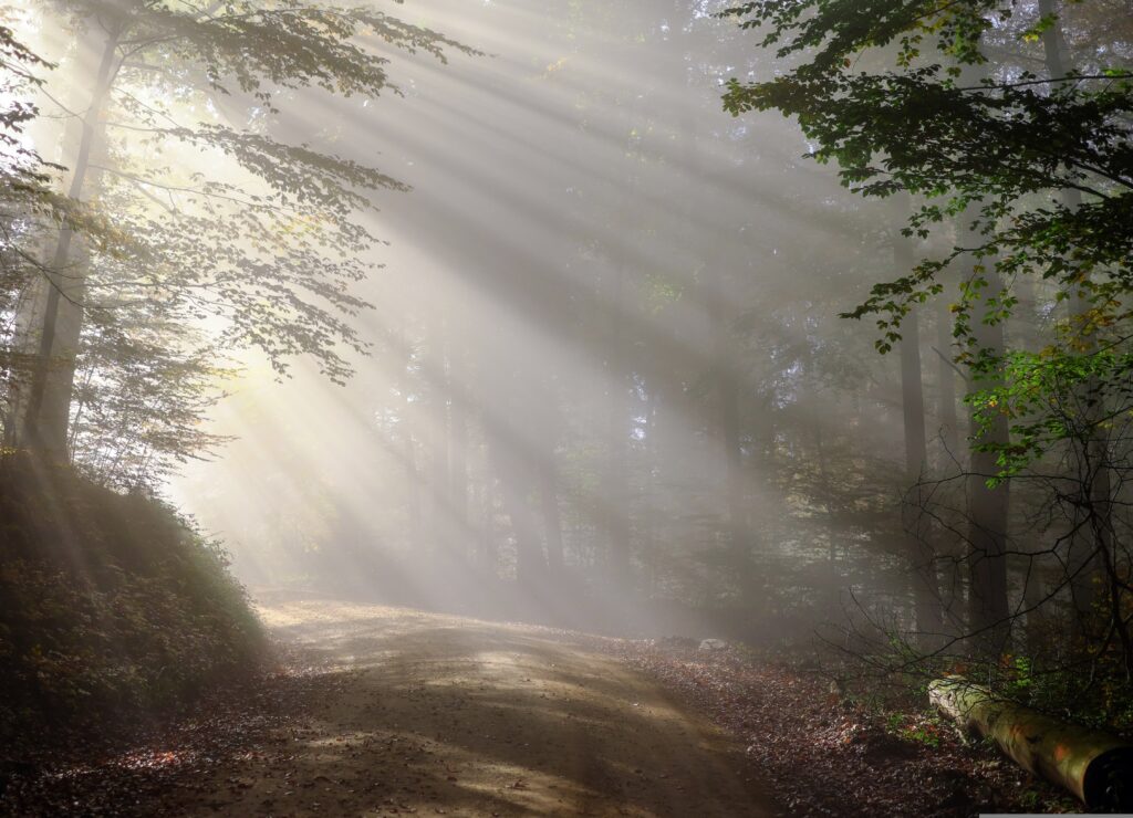 Obituary - André G. Lemire 3 Obituary - André G. Lemire 2