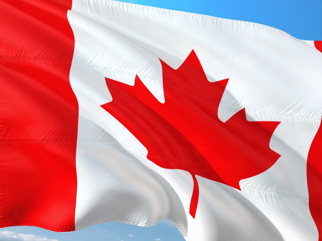 Quebec Business Trends June 2026 - Many Species Sell Well Despite Turmoil 1 Quebec Business Trends June 2026 - Many Species Sell Well Despite Turmoil 1