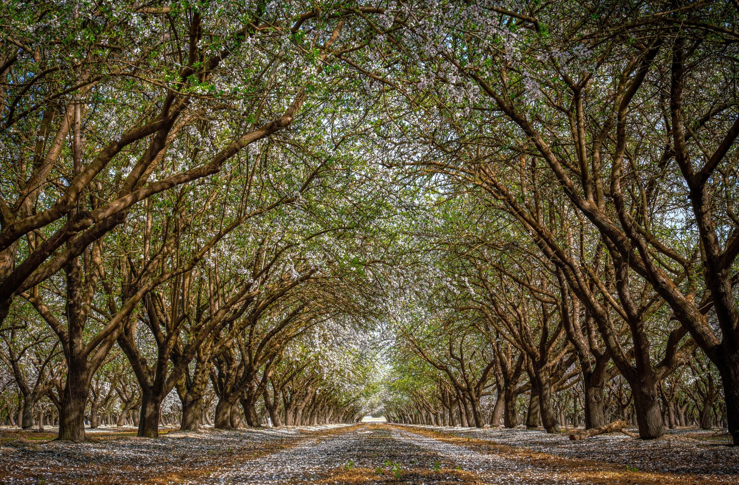 National Hardwood Magazine 29 West Coast