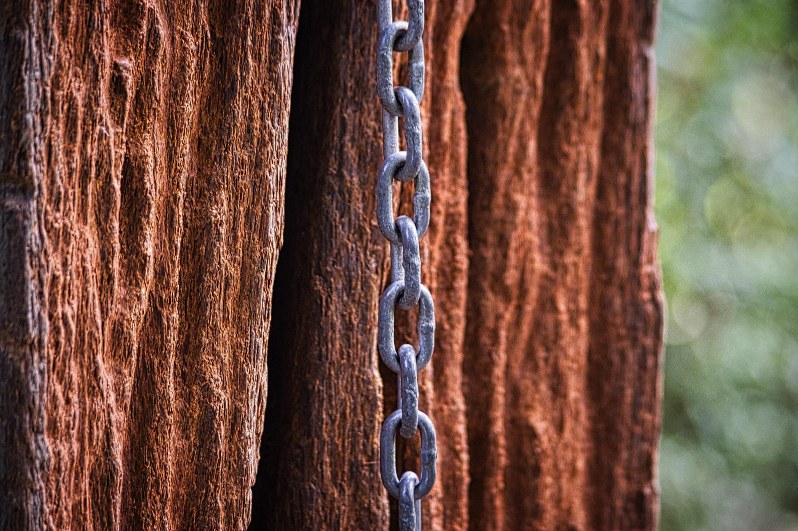 National Hardwood Magazine 49 Industry News
