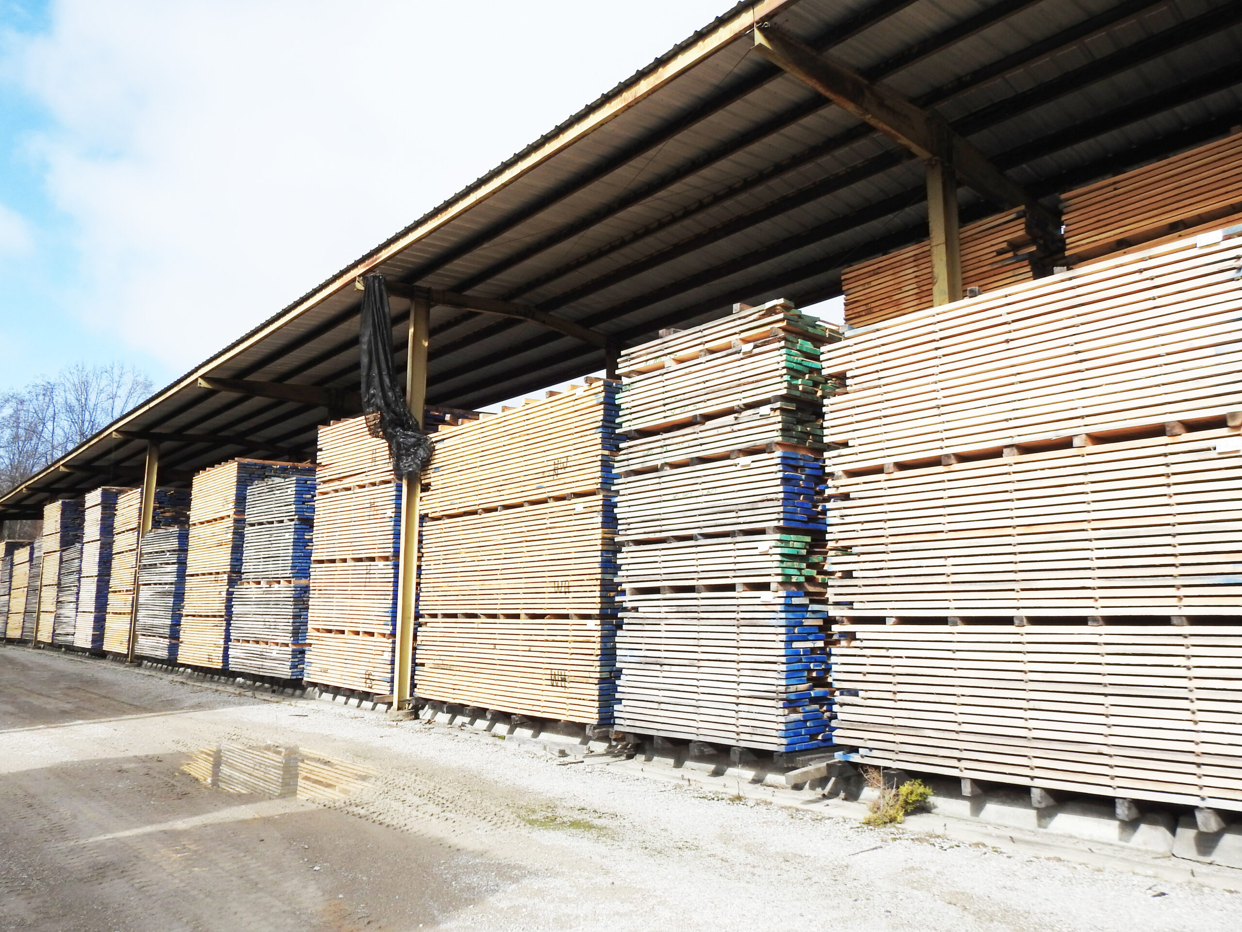 National Hardwood Magazine 5 Mayfield Lumber Company