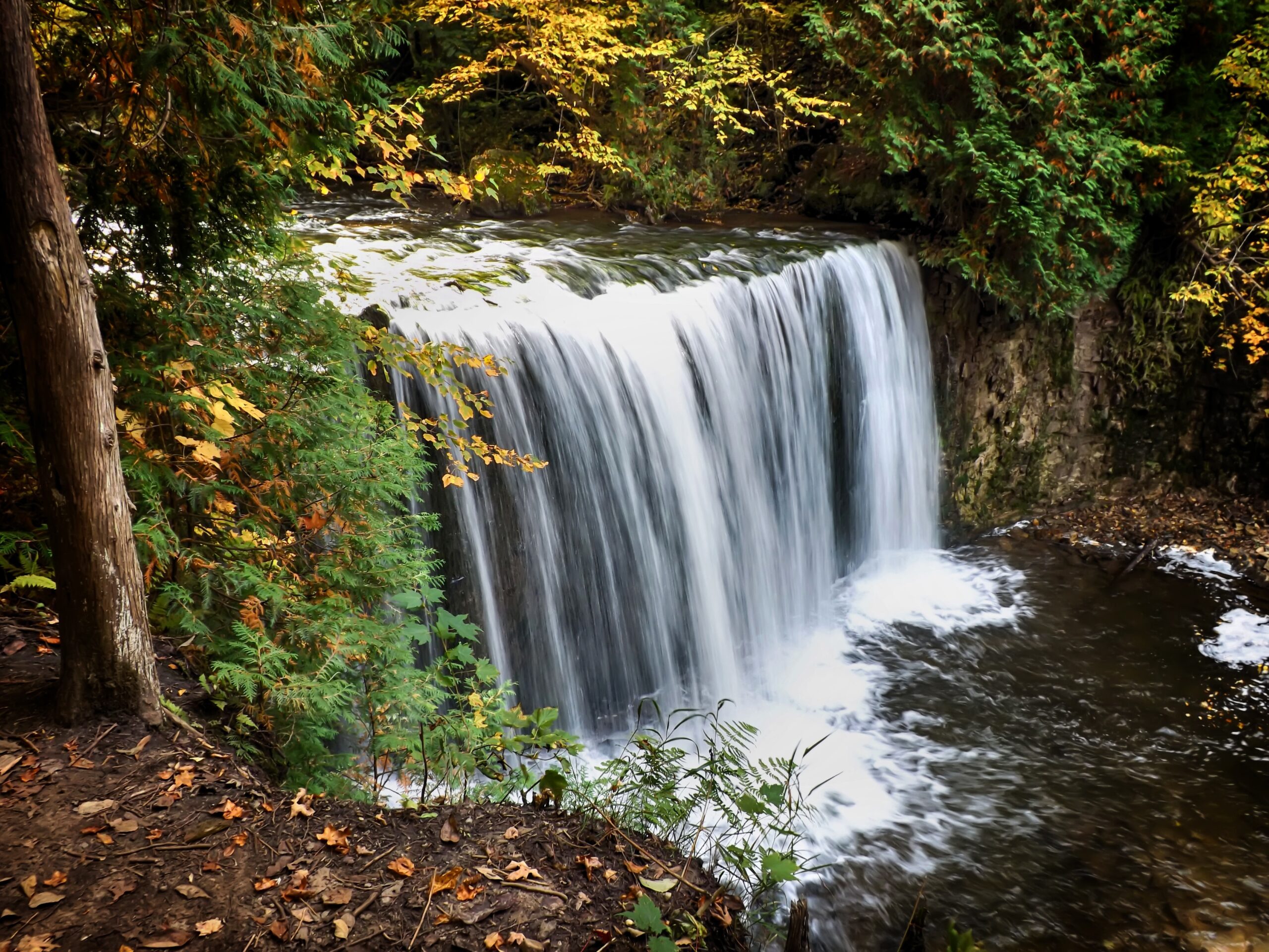National Hardwood Magazine 29 Ontario