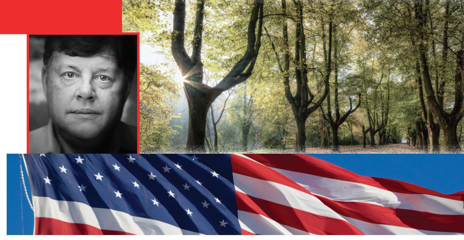 National Hardwood Magazine 1 Hardwood Industry Coalition Gains Momentum In Washington Effort