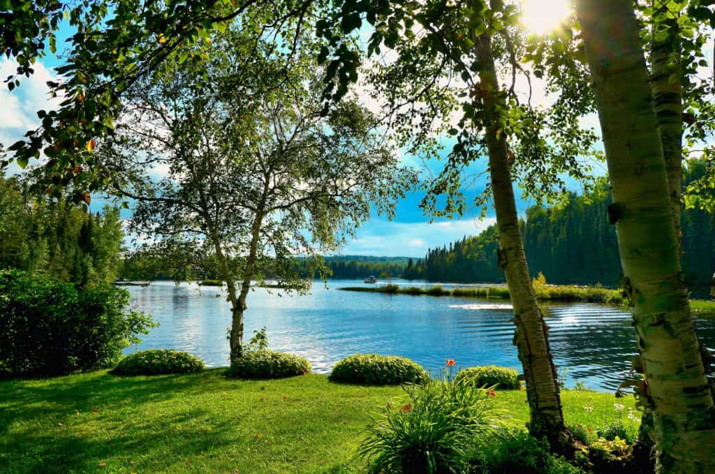 Quebec Business Trends August 2026 - Red Oak, Hickory, Hard Maple Lead The Market 1