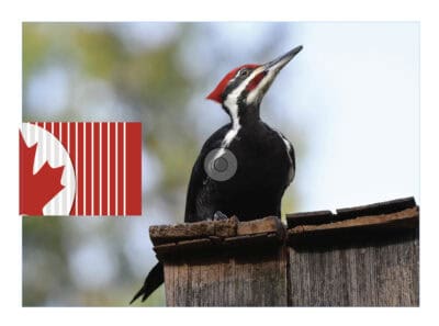 Ontario