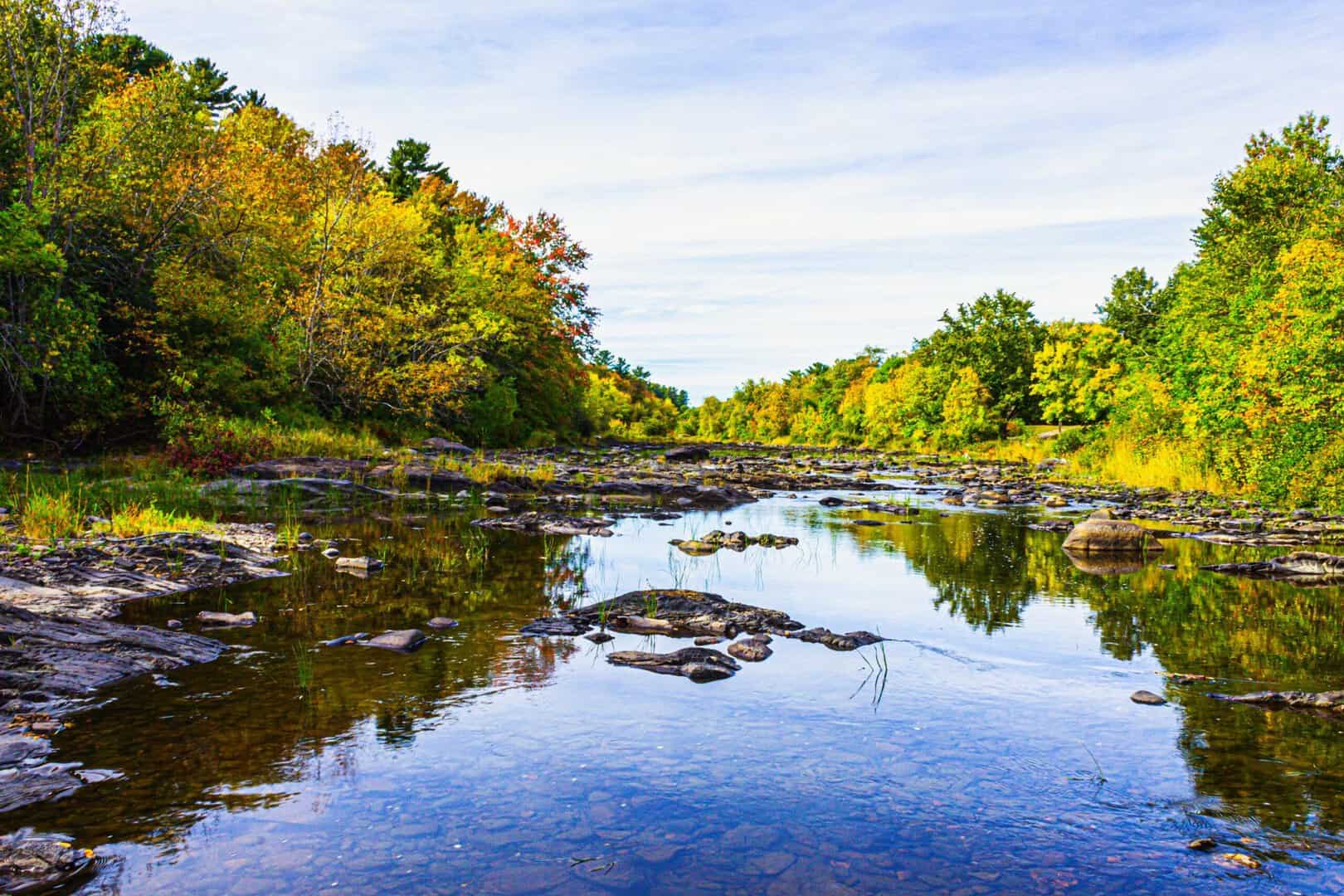 National Hardwood Magazine 31 Northeast