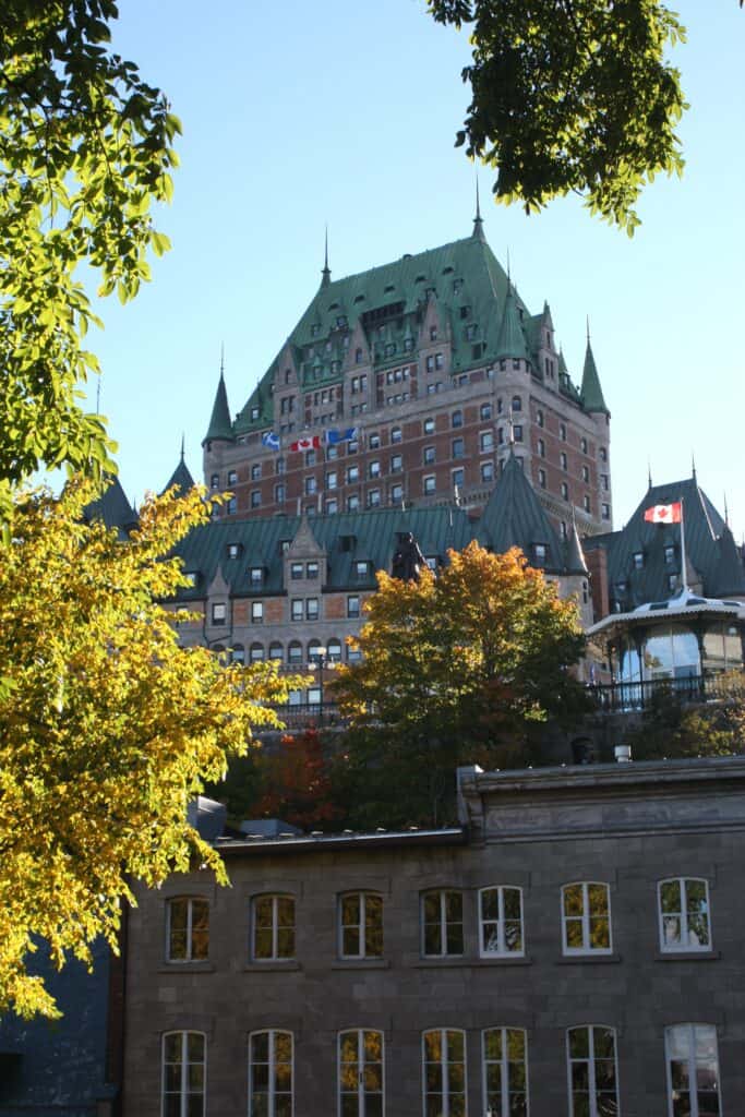 Quebec Business Trends August 2026 - Red Oak, Hickory, Hard Maple Lead The Market 3