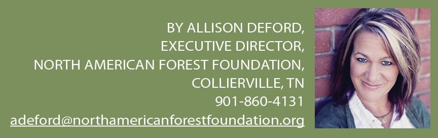 When The Forest Industry Is In The Spotlight: Star Power 2