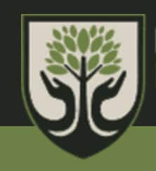 When The Forest Industry Is In The Spotlight: Star Power