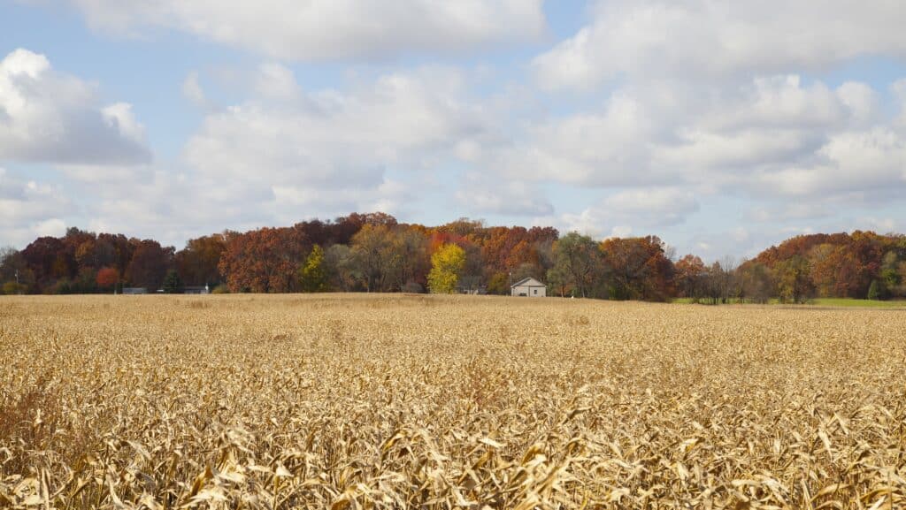 Lake States Business Trends October 2026 - Lake States Sources Remain Hopeful For Uptick In Fall 1