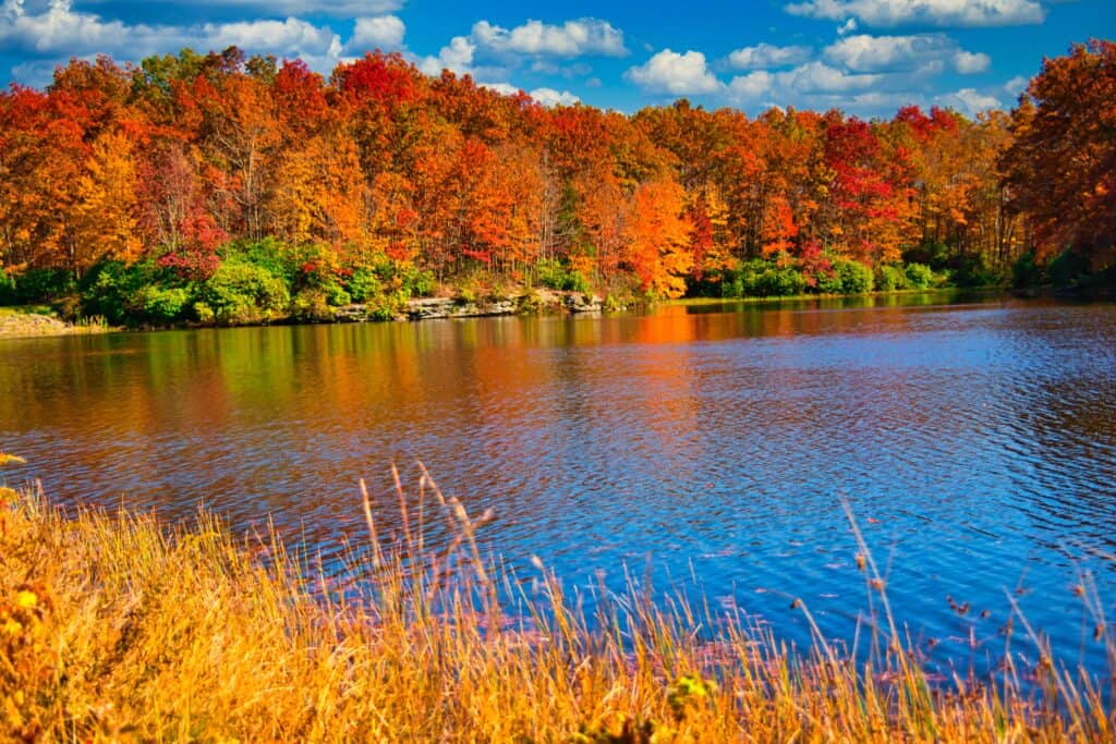 Northeast Business Trends October 2026 - Northeasterners Navigate ‘Mixed-Bag’ Market 2