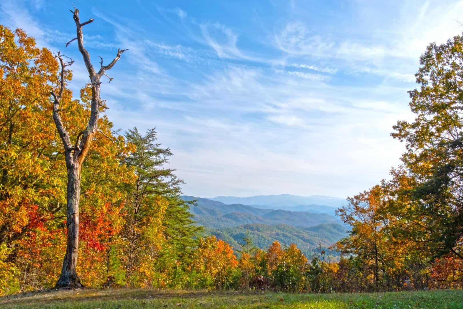 National Hardwood Magazine 31 National Hardwood Magazine 6