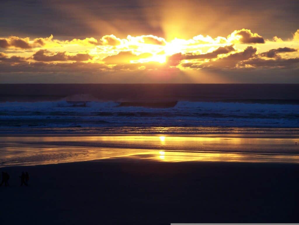 West Coast Business Trends October 2026 - West Coast Sources Adopt Wait-And-See Attitude 1 West Coast Business Trends October 2026 - West Coast Sources Adopt Wait-And-See Attitude 1