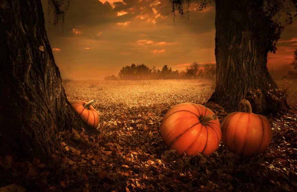 Quebec Business Trends October 2026 - Quebec Braces For More Tariff Turmoil As Important Lumber Species Reported As Sluggish 1