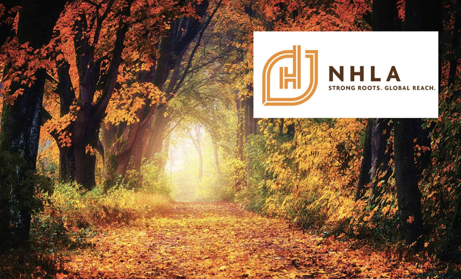 National Hardwood Magazine 15 NHLA